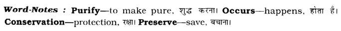 CBSE Class 8 English Article Writing 3