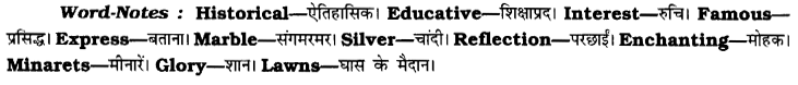 CBSE Class 8 English Paragraph Writing 9