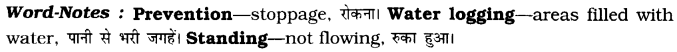 CBSE Class 8 English Speech Writing 1