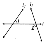 MP Board Class 7th Maths Solutions Chapter 5 रेखा एवं कोण Ex 5.1 17