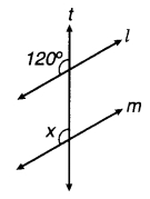 MP Board Class 7th Maths Solutions Chapter 5 रेखा एवं कोण Ex 5.1 19