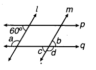 MP Board Class 7th Maths Solutions Chapter 5 रेखा एवं कोण Ex 5.1 20