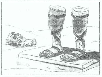 NCERT Solutions for Class 10 English Literature Chapter 10 Ozymandias Textbook Questions Q1
