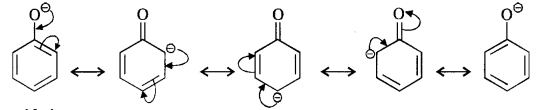 NCERT Solutions for Class 12 Chemistry Chapter 12 Aldehydes, Ketones and Carboxylic Acids t19