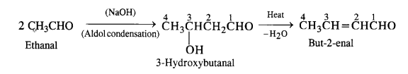 NCERT Solutions for Class 12 Chemistry Chapter 12 Aldehydes, Ketones and Carboxylic Acids te34