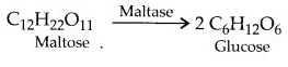 NCERT Solutions for Class 12 Chemistry Chapter 14 Biomolecules 6