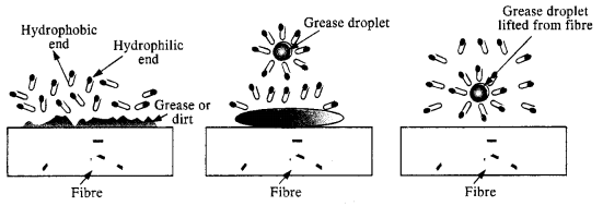 NCERT Solutions for Class 12 Chemistry Chapter 5 Surface Chemistry 9