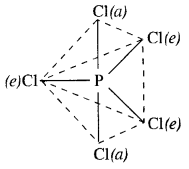 NCERT Solutions for Class 12 Chemistry Chapter 7 The p-Block Elements 5