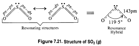 NCERT Solutions for Class 12 Chemistry Chapter 7 The p-Block Elements 10