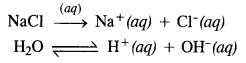 NCERT Solutions for Class 12 Chemistry Chapter6 General Principles and Processes of Isolation of Elements 24