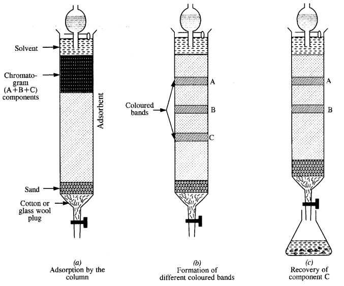 NCERT Solutions for Class 12 Chemistry Chapter6 General Principles and Processes of Isolation of Elements 7