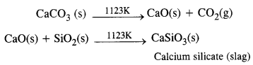 NCERT Solutions for Class 12 Chemistry Chapter6 General Principles and Processes of Isolation of Elements 10