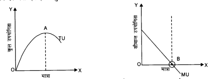 NCERT Solutions for Class 12 Microeconomics Chapter 2 Theory of Consumer Behavior (Hindi Medium) saq 1.1