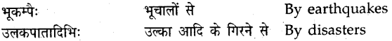 NCERT Solutions for Class 9 Sanskrit Shemushi Chapter 11 पर्यावरणम् 3