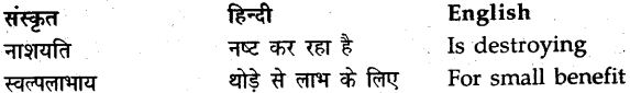 NCERT Solutions for Class 9 Sanskrit Shemushi Chapter 11 पर्यावरणम् 6
