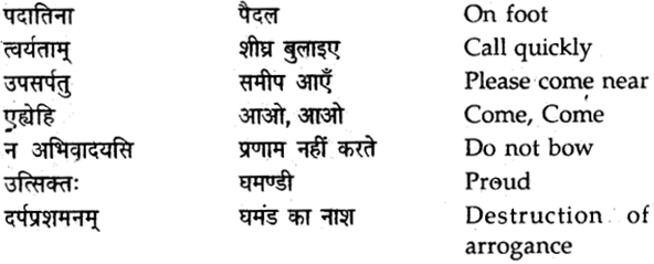 NCERT Solutions for Class 9 Sanskrit Shemushi Chapter 7 प्रत्यभिज्ञानम् 5