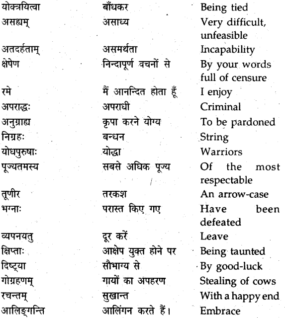NCERT Solutions for Class 9 Sanskrit Shemushi Chapter 7 प्रत्यभिज्ञानम् 7