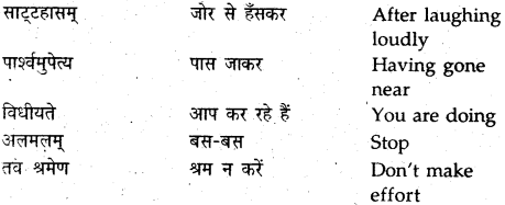 NCERT Solutions for Class 9 Sanskrit Shemushi Chapter 9 सिकतासेतुः 4