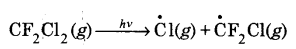 UP Board Solutions for Class 11 Chemistry Chapter 14 Environment Chemistry img-3
