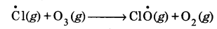 UP Board Solutions for Class 11 Chemistry Chapter 14 Environment Chemistry img-4