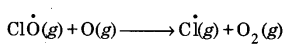 UP Board Solutions for Class 11 Chemistry Chapter 14 Environment Chemistry img-5