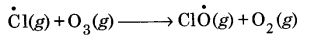 UP Board Solutions for Class 11 Chemistry Chapter 14 Environment Chemistry img-8