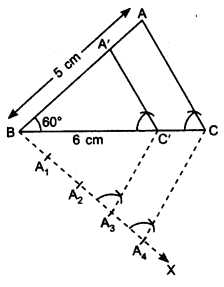 NCERT Solutions for Class 10 Maths Chapter 11 Constructions Ex 11.1 10
