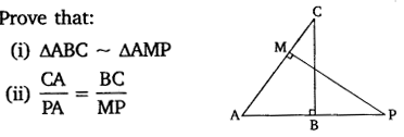 NCERT Solutions For Class 10 Maths Chapter 6 Triangles Ex 6.1 Q13