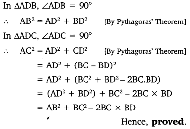 NCERT Solutions for Class 10 Maths Chapter 6 Triangles Ex 6.6 10