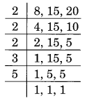 NCERT Solutions for Class 8 Maths Squares and Square Roots Ex 6.3