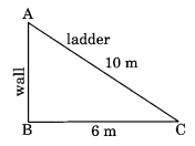 Squares and Square Roots NCERT Extra Questions for Class 8 Maths Q22