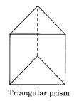Visualising Solid Shapes NCERT Extra Questions for Class 8 Maths Q2
