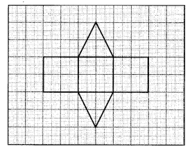 Visualising Solid Shapes NCERT Extra Questions for Class 8 Maths Q7.1