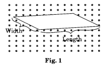 Visualising Solid Shapes NCERT Extra Questions for Class 8 Maths Q13