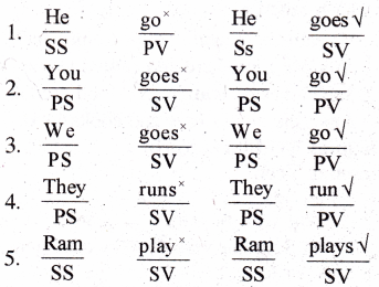 RBSE Class 6 English Grammar Tenses 3