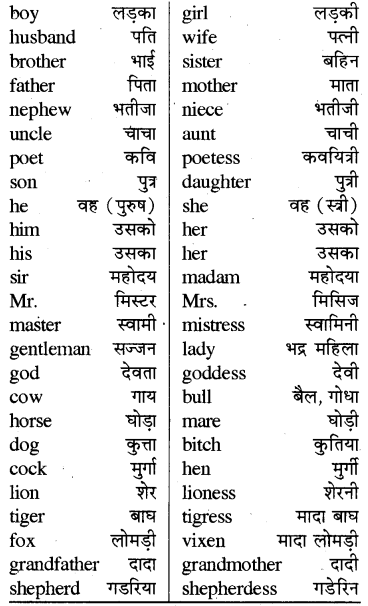 RBSE Class 6 English Vocabulary Gender 2