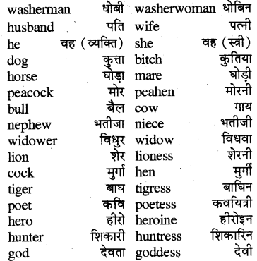 RBSE Class 7 English Vocabulary Gender 2