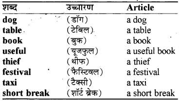 RBSE Class 8 English Grammar Determiners 1