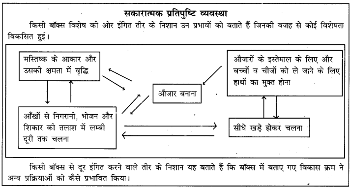 RBSE Solutions for Class 11 History Chapter 1 समय की शुरुआत से 1